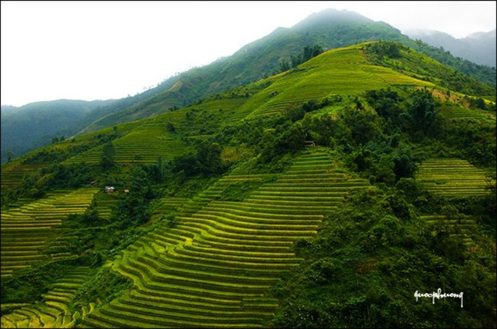 Cheo leo...trên sườn núi