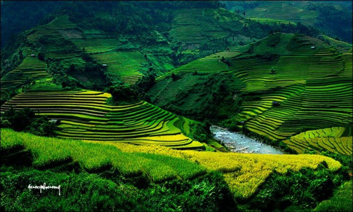 Những đường cong uốn lượn như một sa mạc, có khi như một trận địa hiểm trở.