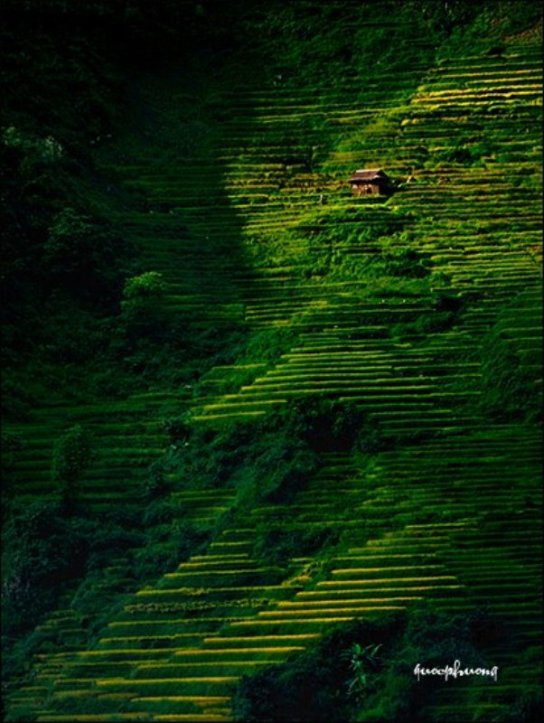 Từng cung bậc, cung bậc...