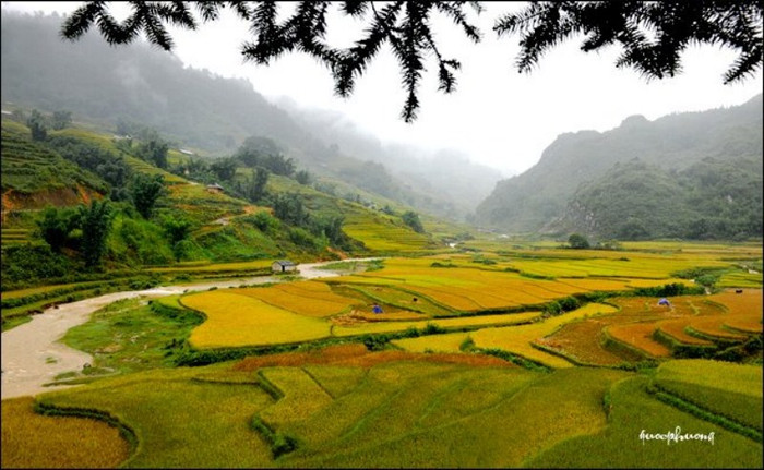 Ruộng bậc thang vừa là đất canh tác, vừa mang lại giá trị cảnh quan tuyệt đẹp. Những thửa ruộng bậc thang là một bức tranh kỳ vĩ, một vẻ đẹp hoang sơ trên nền không gian thiên nhiên hùng vĩ của núi đồi vùng cao và có giá trị phát triển du lịch bền vững.