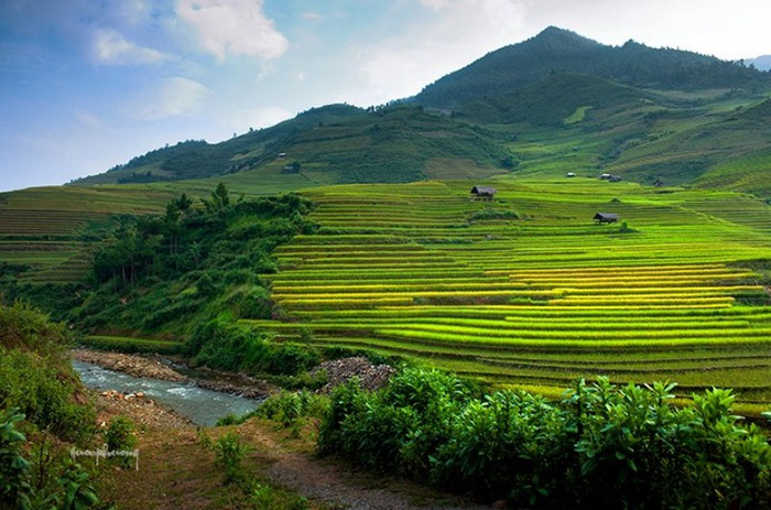 Những thửa ruộng nối tiếp nhau chạy mãi đến chân trời