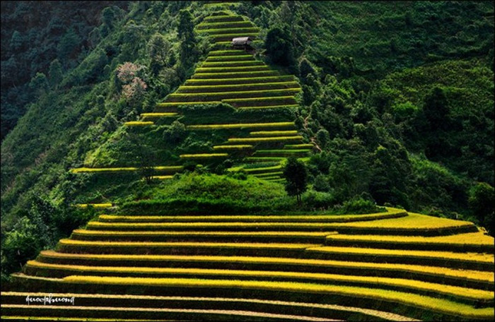 Ruộng bậc thang - Cung bậc cảm xúc