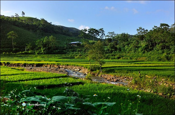 Toàn cảnh Tây Bắc yên bình một màu xanh
