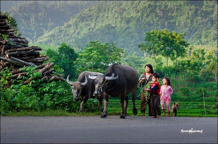 Những đứa trẻ vùng cao... Những đứa trẻ vùng cao...