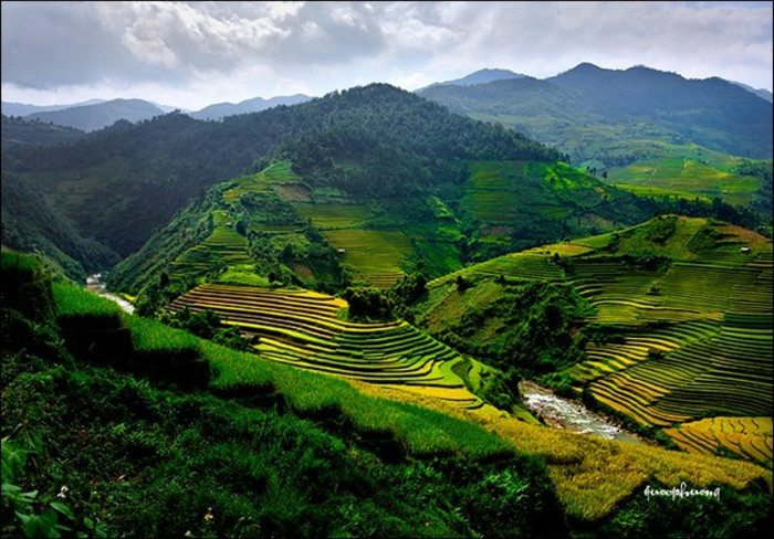 Nhìn từ ngọn núi này sang ngọn núi khác, ruộng bậc thang xen kẽ dưới thung lũng núi cứ nối đuôi nhau chạy mãi, giống như mảnh đất truyền thống được con người kế tiếp nhau từ đời này qua đời khác. Nhìn từ ngọn núi này sang ngọn núi khác, ruộng bậc thang xen kẽ dưới thung lũng núi cứ nối đuôi nhau chạy mãi, giống như mảnh đất truyền thống được con người kế tiếp nhau từ đời này qua đời khác.