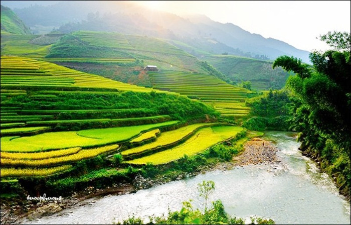 Ruộng bậc thang vùng cao là biểu tượng của người dân Tây Bắc, đó vừa là đất canh tác nhưng cũng vừa mang lại giá trị cảnh quan tuyệt đẹp và có giá trị phát triển du lịch bền vững. Ruộng bậc thang vùng cao là biểu tượng của người dân Tây Bắc, đó vừa là đất canh tác nhưng cũng vừa mang lại giá trị cảnh quan tuyệt đẹp và có giá trị phát triển du lịch bền vững.