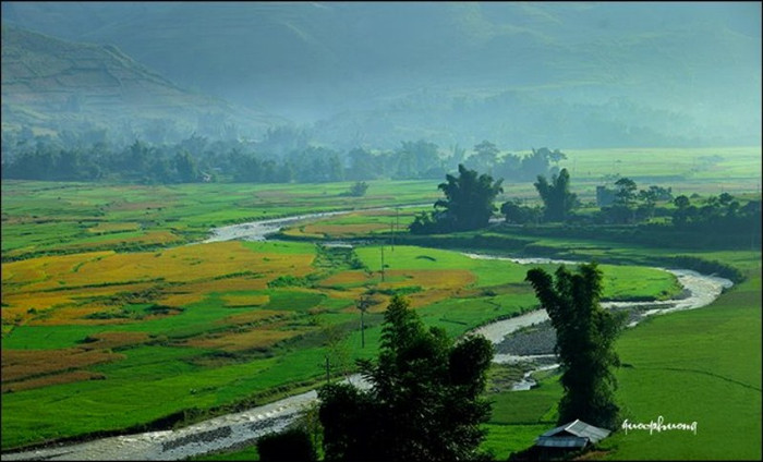 Một góc Tây Bắc vàng... Một góc Tây Bắc vàng...