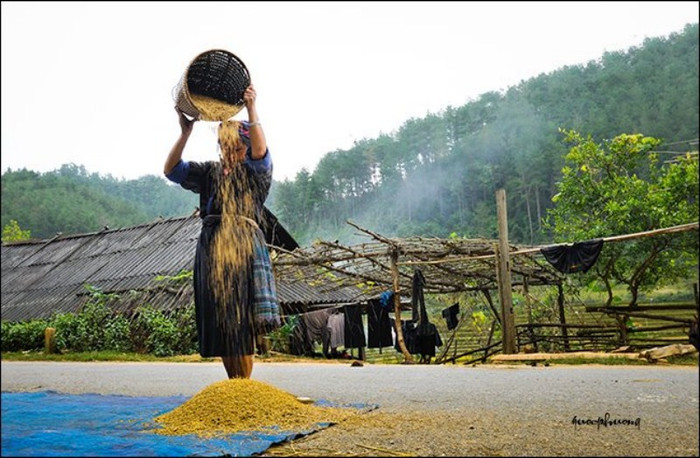 Mùa về trên tay mẹ... Mùa về trên tay mẹ...