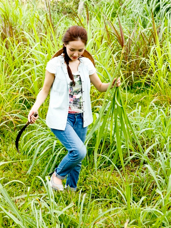 Mới đây, ca sĩ Phương Linh đã có lần đầu tiên tham gia công việc nhà nông là vắt sữa bò. Dậy từ khá sớm, đi đến tận khu chăn nuôi bò ở Củ Chi, công việc đầu tiên Phương Linh phải làm là ra đồng cắt cỏ cho bò ăn. Chị ấy diện bộ trang phục khá đơn giản nhưng vẫn rất xinh xắn và đáng yêu . Mới đây, ca sĩ Phương Linh đã có lần đầu tiên tham gia công việc nhà nông là vắt sữa bò. Dậy từ khá sớm, đi đến tận khu chăn nuôi bò ở Củ Chi, công việc đầu tiên Phương Linh phải làm là ra đồng cắt cỏ cho bò ăn. Chị ấy diện bộ trang phục khá đơn giản nhưng vẫn rất xinh xắn và đáng yêu .