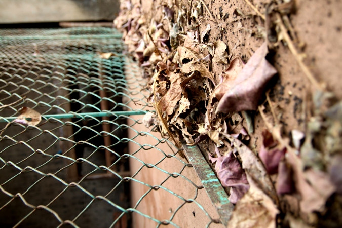 Đã mấy tháng qua, cánh cổng này không có người mở (Ảnh: Nam Phong)