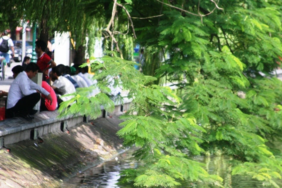 Nghỉ bên gốc cây bên hồ Nghỉ bên gốc cây bên hồ