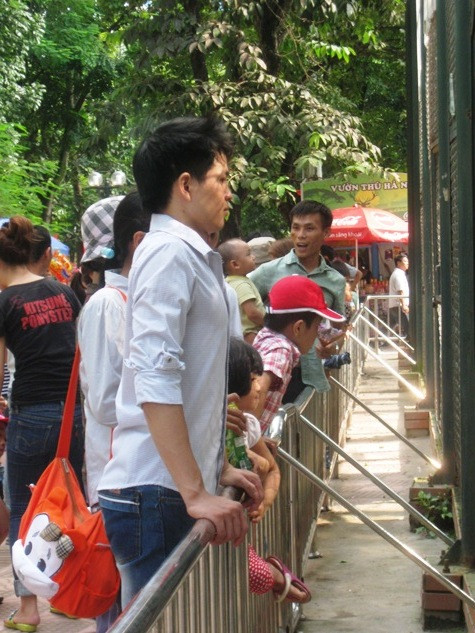 Đến công viên Thủ Lệ được xem các loài động vật là điều các em nhỏ rất thích