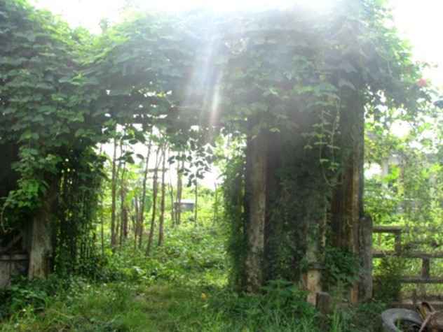 Trần Trinh Huy mất năm 1973, gia đình ly tán, lăng mộ của gia đình Công tử Bạc Liêu không có người chăm sóc, cỏ cây rậm rạp.