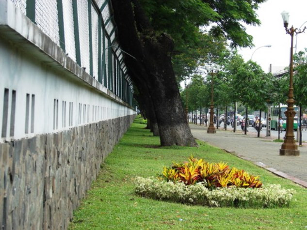 Tường rào của toàn nhà nép mình sau hàng cây lớn Tường rào của toàn nhà nép mình sau hàng cây lớn