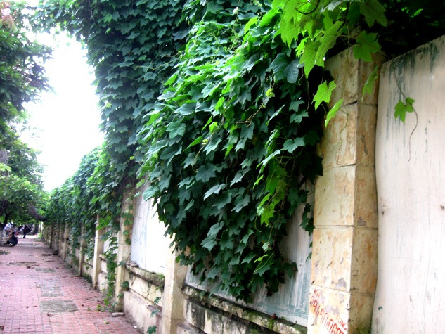 Bức tường bao quanh công trình Tháp thiên niên kỷ sau gần 6 năm Bức tường bao quanh công trình Tháp thiên niên kỷ sau gần 6 năm