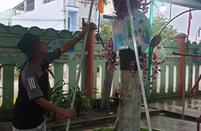 Chằng chống cây xanh để tránh bị bão quật ngã.