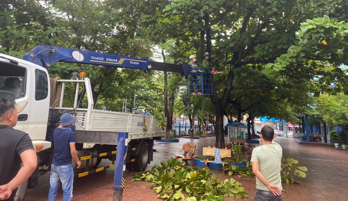 Cắt tỉa cây xanh trong khuôn viên trường học.