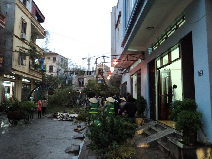 ... tránh những phần máu và thi thể nhỏ còn sót lại bám trên cành, lá cây. ... tránh những phần máu và thi thể nhỏ còn sót lại bám trên cành, lá cây.