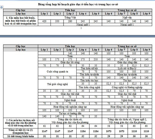 Chuyên gia góp ý về thứ tự môn học trong chương trình mới ảnh 3 Chuyên gia góp ý về thứ tự môn học trong chương trình mới ảnh 3