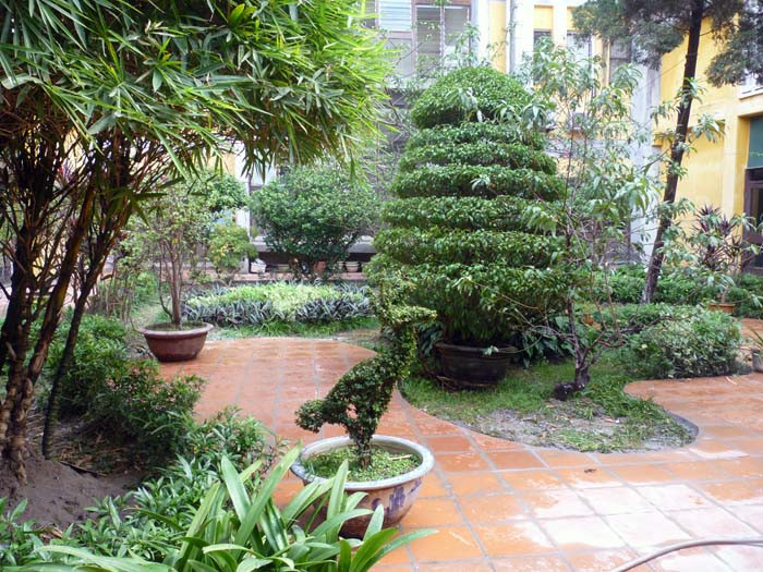 Khuôn viên đầy cây xanh, nơi lý tưởng để nghỉ ngơi sau mỗi giờ học