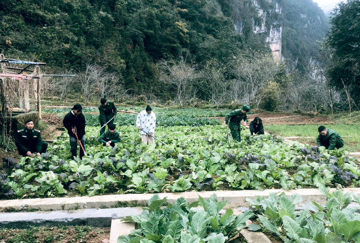 Các con gái nuôi chăm chỉ cùng “bố nuôi” tăng gia, hăng hái phụ giúp các chú, các bác mỗi dịp được nghỉ, về thăm đồn. Ảnh: NVCC. Các con gái nuôi chăm chỉ cùng “bố nuôi” tăng gia, hăng hái phụ giúp các chú, các bác mỗi dịp được nghỉ, về thăm đồn. Ảnh: NVCC.