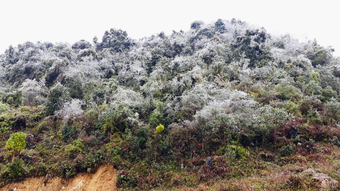 Các chiến sĩ đã được chứng kiến những lần băng tuyết phủ trắng cỏ cây, sân vườn,... Ảnh: NVCC.