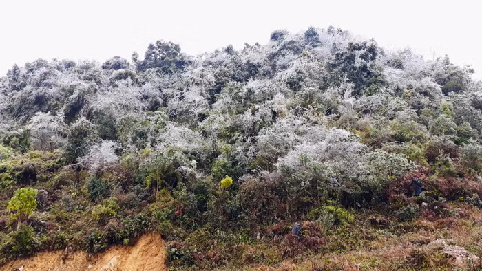 Các chiến sĩ đã được chứng kiến những lần băng tuyết phủ trắng cỏ cây, sân vườn,... Ảnh: NVCC.