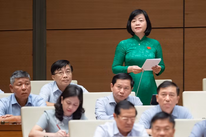 Đại biểu Nguyễn Thị Thanh Cầm (đoàn Tiền Giang). Ảnh: quochoi.vn.