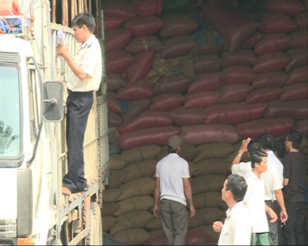 Kho của Công ty Trường Ngân bị cưỡng chế, cà phê được chuyển lên xe tải đưa ra khỏi kho ngày 3/12. Kho của Công ty Trường Ngân bị cưỡng chế, cà phê được chuyển lên xe tải đưa ra khỏi kho ngày 3/12.