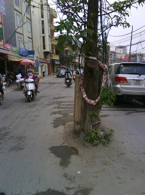 Không chỉ cột điện, sau khi nâng cấp cây xanh tụ điện cũng được “đẩy ra” giữa lòng đường. Tình trạng này kéo dài không những gây mất mĩ quan đô thị, mà còn tiềm ẩn rất nhiều nguy hiểm cho những người tham gia giao thông, nhất là những người tham gia giao thông vào thời điểm trời tối. Không chỉ cột điện, sau khi nâng cấp cây xanh tụ điện cũng được “đẩy ra” giữa lòng đường. Tình trạng này kéo dài không những gây mất mĩ quan đô thị, mà còn tiềm ẩn rất nhiều nguy hiểm cho những người tham gia giao thông, nhất là những người tham gia giao thông vào thời điểm trời tối.