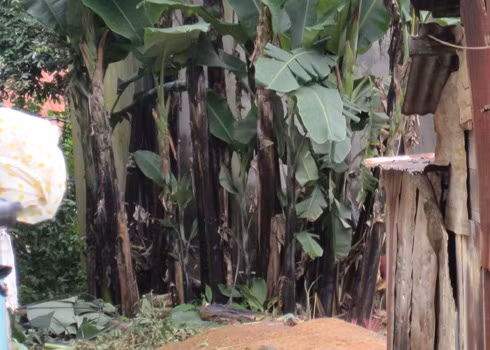 Nơi giếng hoang phát hiện thi thể cháu bé. Ảnh: Tùy Phong.