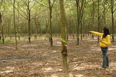 Ghen tuông, thiếu phụ bị trai tân cắt cổ ảnh 5