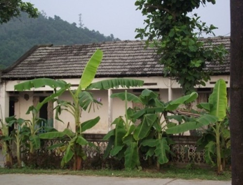 Giai ma tin don ve manh dat khien nhieu nguoi chet tre