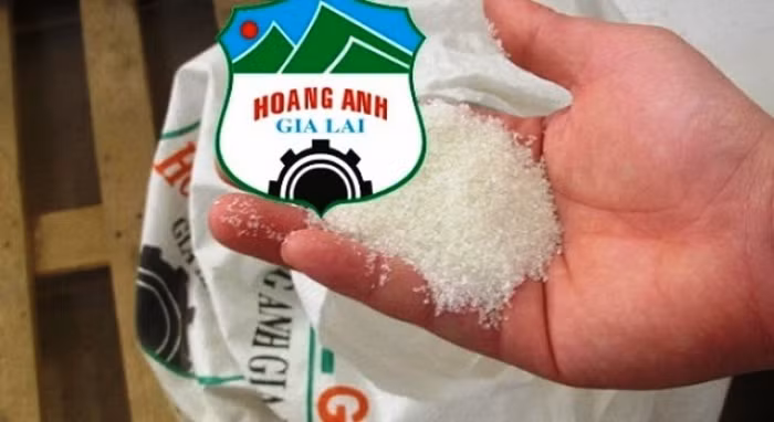Theo Bầu Đức nếu đường của Hoàng Anh Gia Lai được tiêu thụ trong nước giá chắc chắn sẽ rẻ hơn giá đường hiện nay