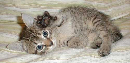 Anh ơi đừng có chụp em Để em tạo dáng cho xem đã nào Anh ơi đừng có chụp em Để em tạo dáng cho xem đã nào