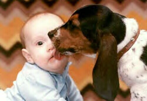 Môi em nhỏ nhắn xinh xinh Cho anh hôn tẹo gửi tình anh trao Môi em nhỏ nhắn xinh xinh Cho anh hôn tẹo gửi tình anh trao