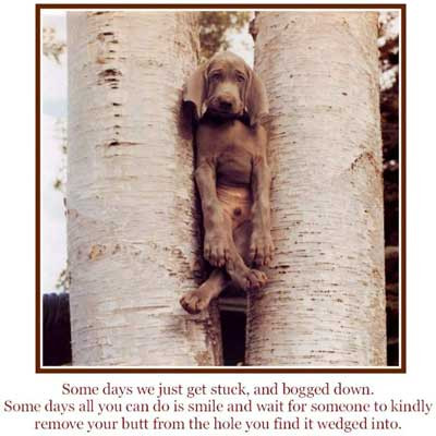 Có ai đến cứu tôi không Sao mà tôi thấy chật mông thế này Có ai đến cứu tôi không Sao mà tôi thấy chật mông thế này