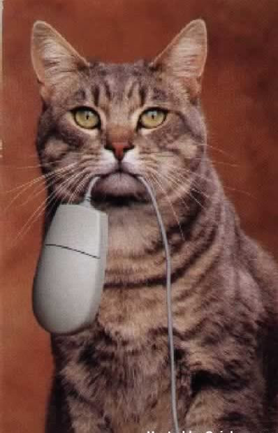 Tình anh em để trong hang Làm cho anh nhận nhầm hàng khổ ghê Tình anh em để trong hang Làm cho anh nhận nhầm hàng khổ ghê