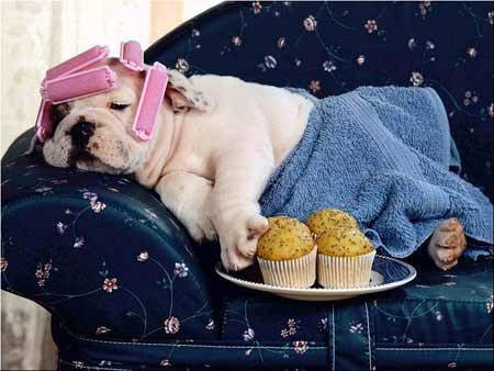 Không có người phụ nữ xấu chỉ có người phụ nữ không biết làm đẹp Không có người phụ nữ xấu chỉ có người phụ nữ không biết làm đẹp