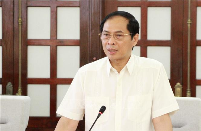 Bộ trưởng Bộ Ngoại giao Bùi Thanh Sơn. Ảnh: TTXVN Bộ trưởng Bộ Ngoại giao Bùi Thanh Sơn. Ảnh: TTXVN
