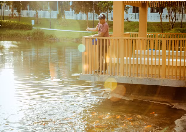 Tận hưởng nhịp sống an yên trong lòng Florida sôi động đậm chất Mỹ.