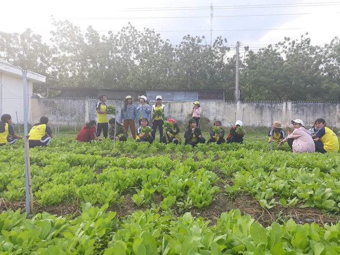 Mô hình trồng rau xanh của cô và trò Trường Phổ thông dân tộc nội trú Pi Năng Tắc. (Ảnh: NVCC) Mô hình trồng rau xanh của cô và trò Trường Phổ thông dân tộc nội trú Pi Năng Tắc. (Ảnh: NVCC)