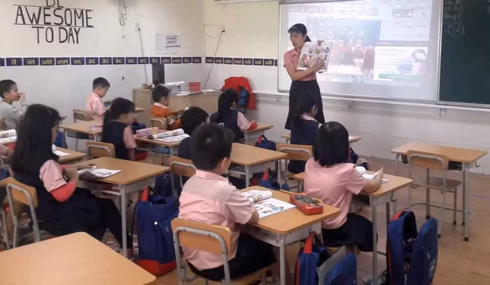 Việc dạy học ở trường mầm non Chú Ếch Con và tiểu học FM đã ổn định trở lại.