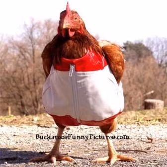 Mình vừa được nhận việc xong Làm trong tạp hóa chỉ mong bộ này Mình vừa được nhận việc xong Làm trong tạp hóa chỉ mong bộ này