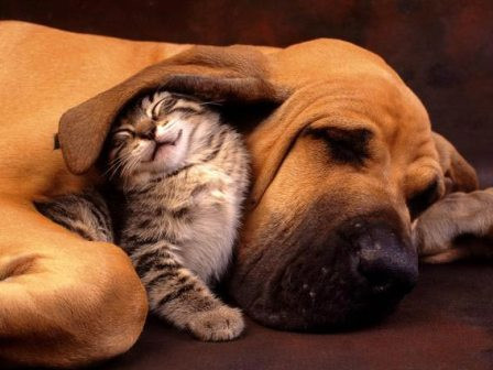 Cái tai này dễ chịu ghê Làm mình cứ phải mải mê đêm ngày Cái tai này dễ chịu ghê Làm mình cứ phải mải mê đêm ngày