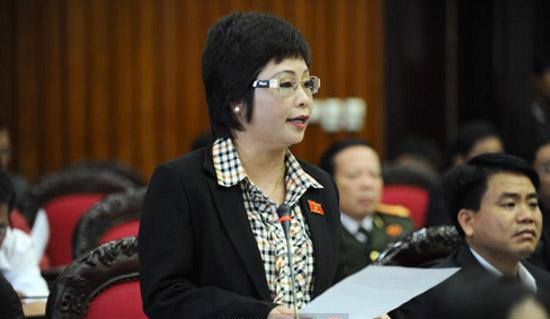 Thị trường bất động sản 2015: Sẽ còn nhiều bà Châu Thị Thu Nga khác? ảnh 2