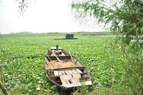 Đoạn lạch phát hiện xác của 6 cháu cùng với con thyền sắt mà các cháu đã chơi Đoạn lạch phát hiện xác của 6 cháu cùng với con thyền sắt mà các cháu đã chơi