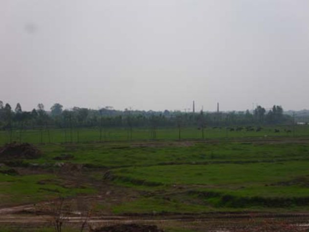 Tuy nhiên sau 5 năm triển khai, Khu vườn sinh thái Cẩm Đình – Hiệp Thuận gần 250 ha chỉ là 2 căn biệt thự mới xây xong phần thô, còn lại là hàng nghìn lô “vườn sinh thái” bỏ hoang, làm nơi chăn bò của người dân địa phương. Tuy nhiên sau 5 năm triển khai, Khu vườn sinh thái Cẩm Đình – Hiệp Thuận gần 250 ha chỉ là 2 căn biệt thự mới xây xong phần thô, còn lại là hàng nghìn lô “vườn sinh thái” bỏ hoang, làm nơi chăn bò của người dân địa phương.