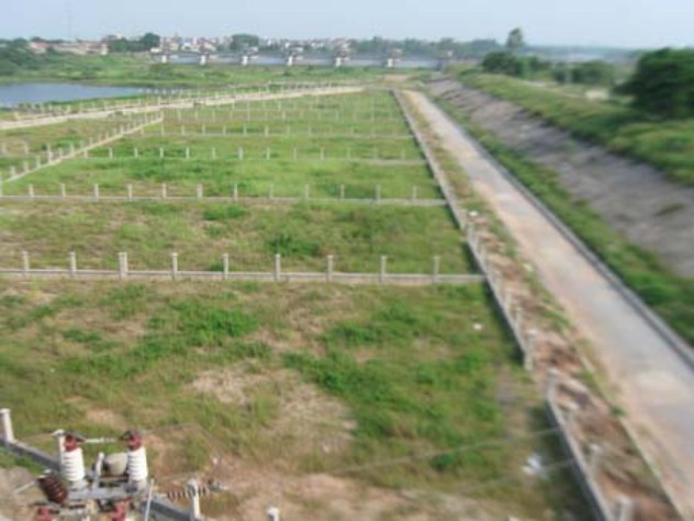 Hàng trăm lô "vườn sinh thái" bỏ hoang dưới chân cầu Phùng, ngay sát chân đê Hàng trăm lô "vườn sinh thái" bỏ hoang dưới chân cầu Phùng, ngay sát chân đê