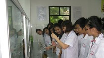 Chọn ngành học dựa trên đam mê hay tiền bạc? ảnh 1 Chọn ngành học dựa trên đam mê hay tiền bạc? ảnh 1